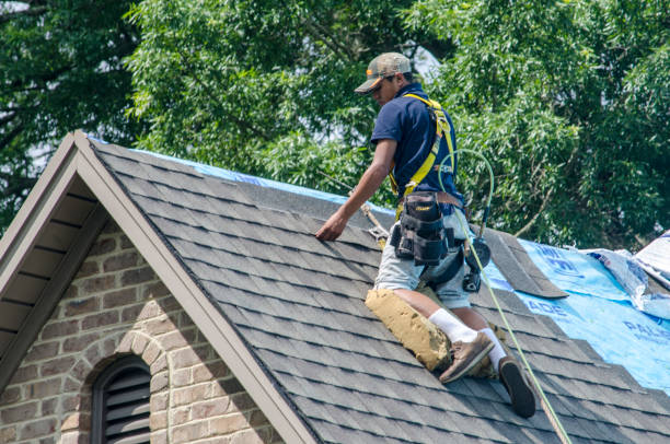 Best Roof Gutter Cleaning  in Hagerstown, IN